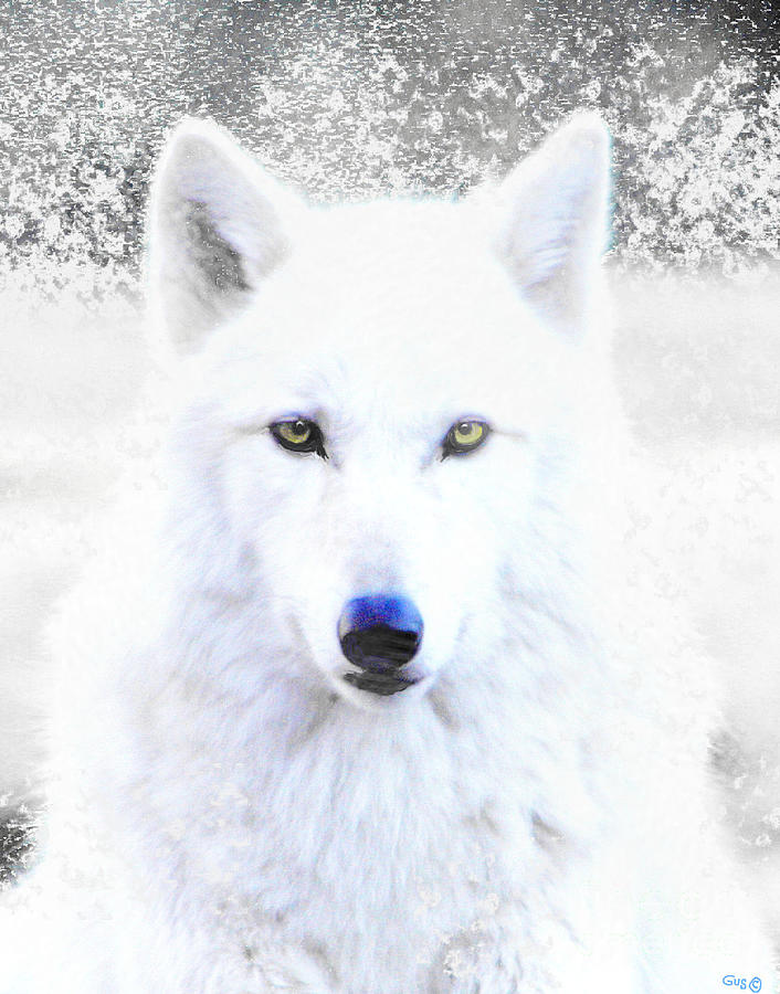 Snow Wolf Photograph by Nick Gustafson