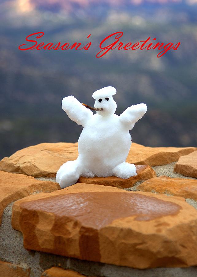 Snowball Snowman Photograph by Gordon Elwell