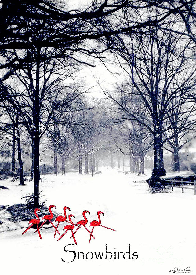 Winter Digital Art - Snowbirds by Lizi Beard-Ward