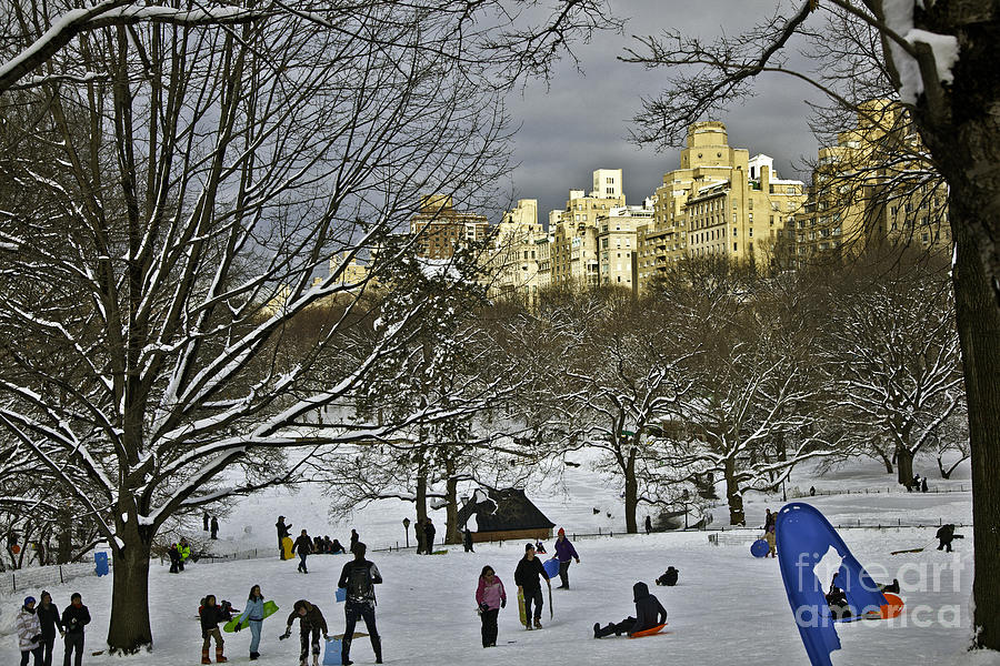 Snowboarding in Central Park 2011 Photograph by Madeline Ellis