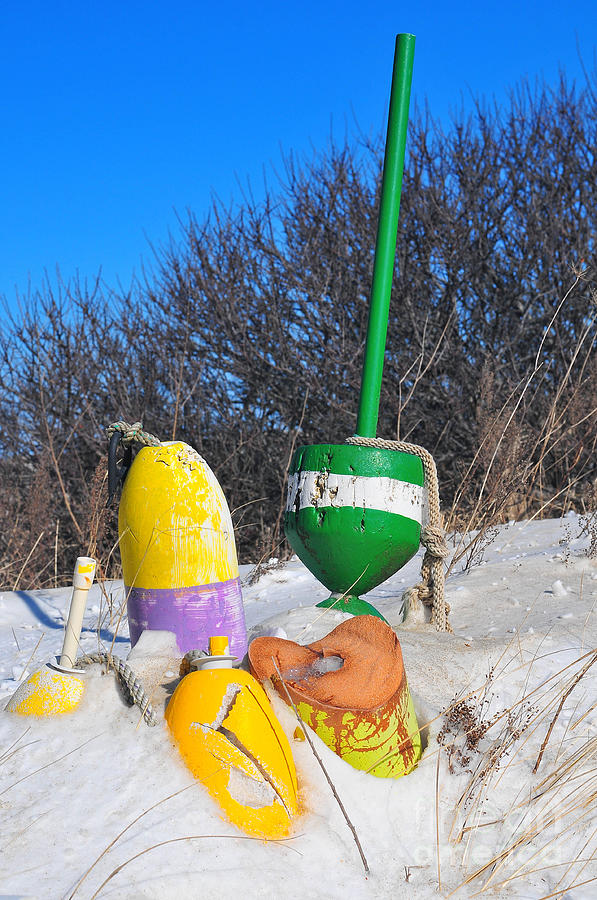 Winter Photograph - Snowbound Buoys by Catherine Reusch Daley