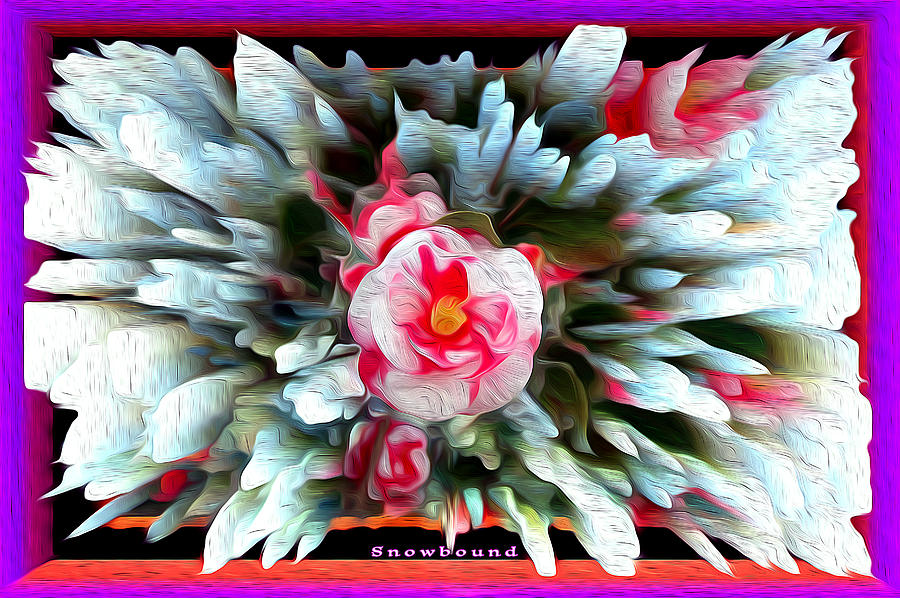 Flower Digital Art - Snowbound Camellia by Joe Paradis