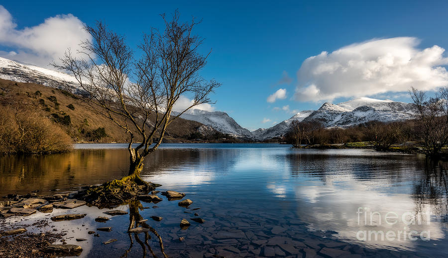 Snowdon And Padarn Lake Photograph by Adrian Evans