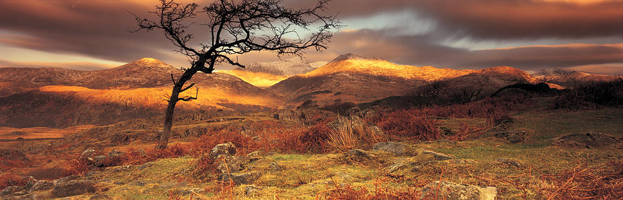 Fall Photograph - Snowdonia National Park, Wales, United by Panoramic Images