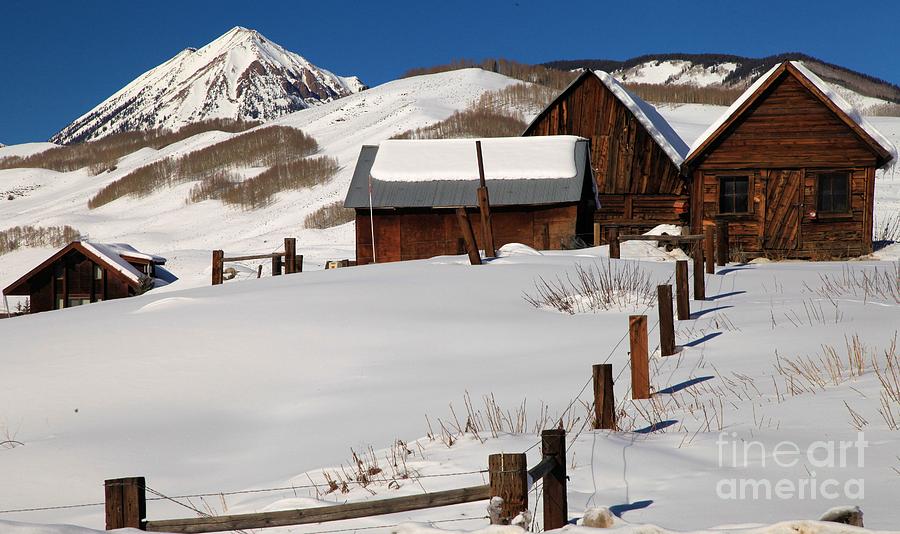 Colorado Rockies Photograph - Snowed In by Adam Jewell