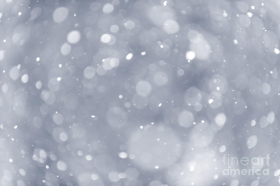 Winter Photograph - Snowfall background by Elena Elisseeva