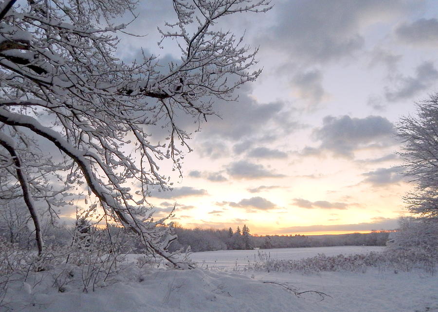 Winter Photograph - Snowfall by Karen Cook