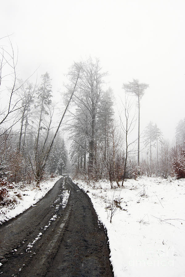 Winter Photograph - Snowfall by Michal Boubin