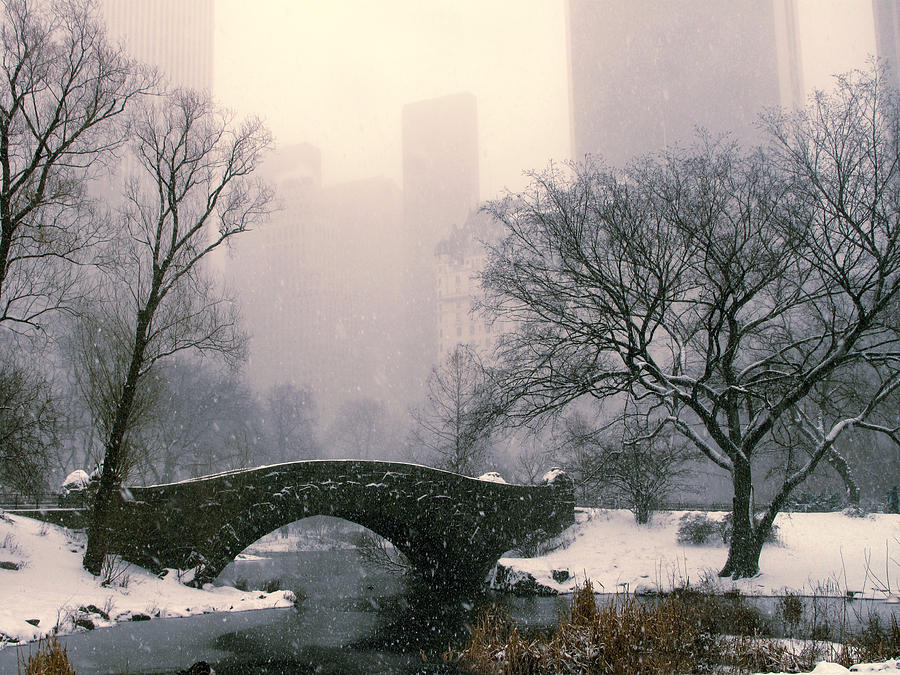Snowfall on Gapstow Bridge Photograph by Jessica Jenney