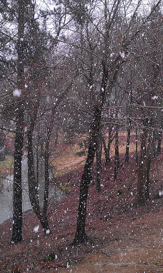 Snowfall on Lake Trail Photograph by Kenny Glover