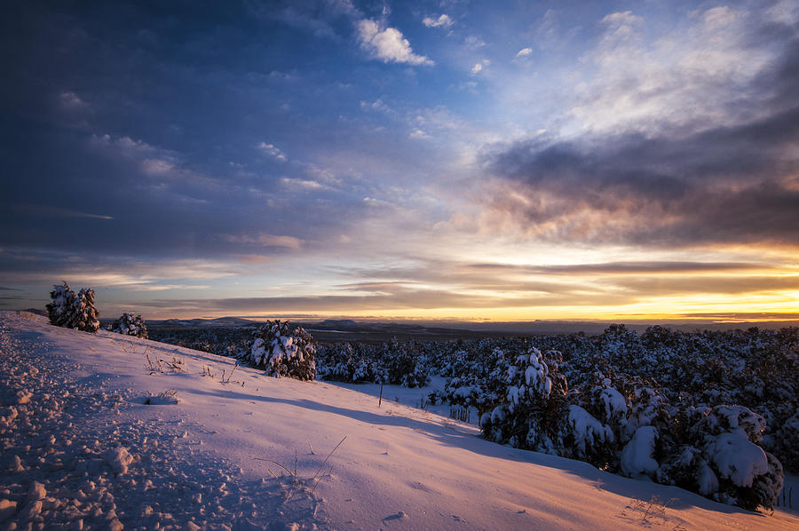 Snowfall Sunset Photograph by Anthony Citro