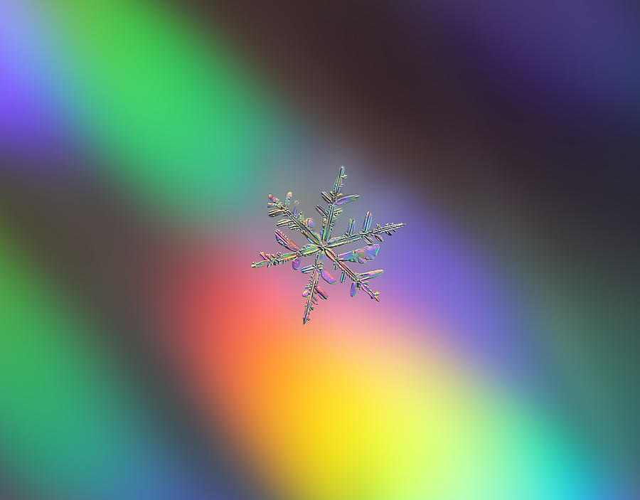 Snowflake Colors Photograph