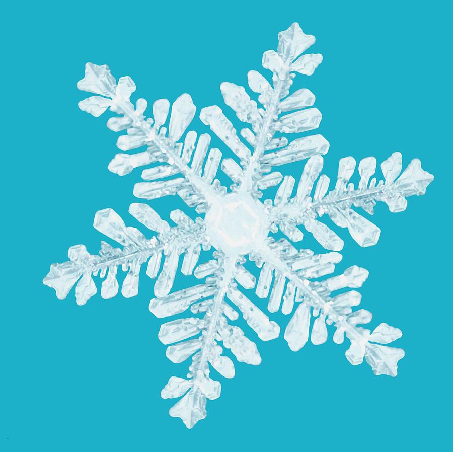 Nature Photograph - Snowflake by Don Hammond