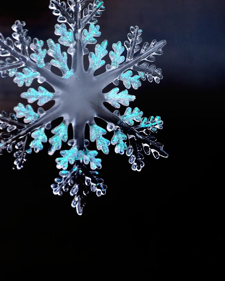 Snowflake In Window 20471 Photograph by Jerry Sodorff