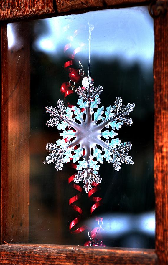 Snowflake In Window 20510 Photograph by Jerry Sodorff