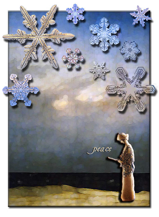 Snowflake Peace Photograph by Natasha Marco