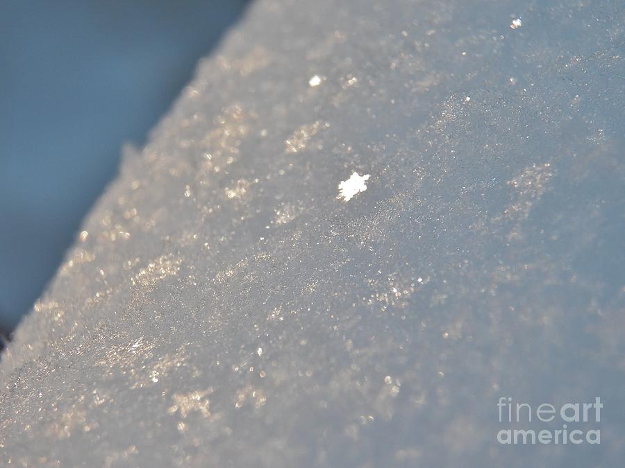 Winter Photograph - Snowflake Super Macro 1 by Judy Via-Wolff