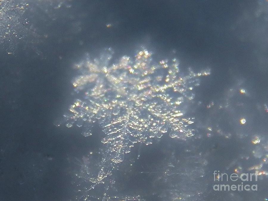 Snowflake Super Macro  3 Photograph by Judy Via-Wolff