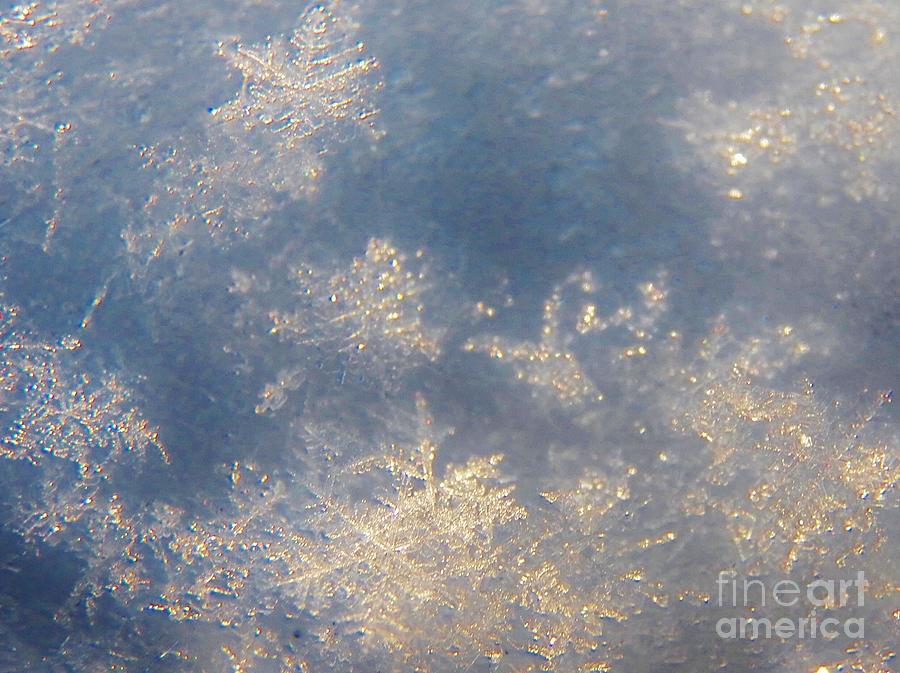 Snowflake Super Macro  4 Photograph by Judy Via-Wolff