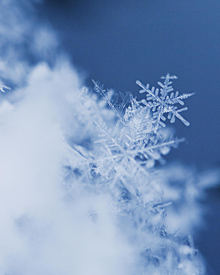 Snowflakes Photograph - Snowflakes 2 by Jeff Klingler