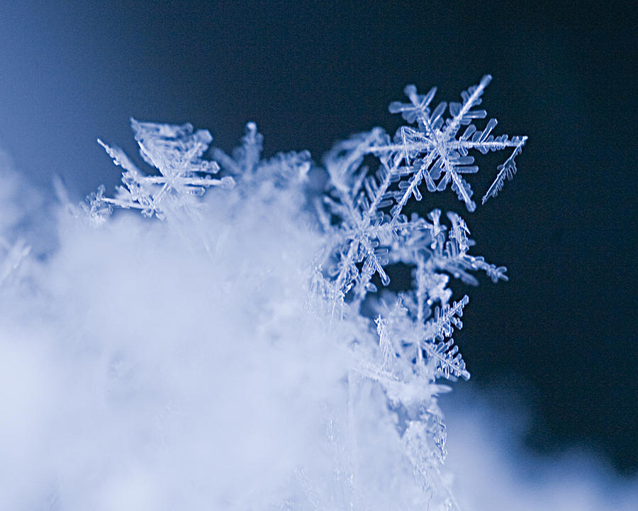 Snowflakes Photograph - Snowflakes 4 by Jeff Klingler