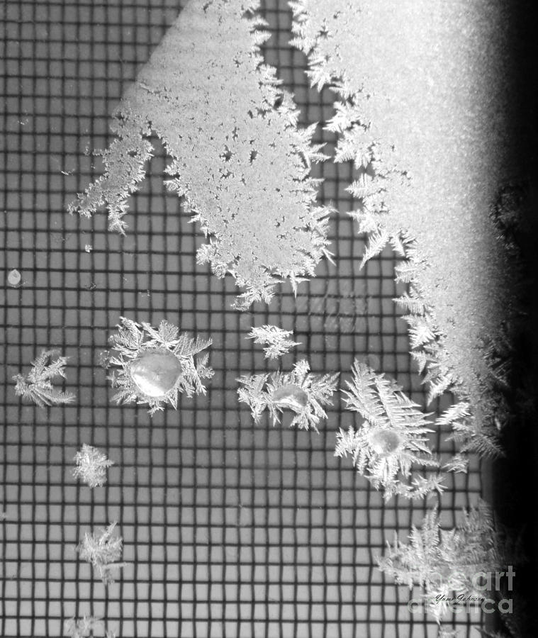 Snowflakes abstract 1 Photograph by Yumi Johnson