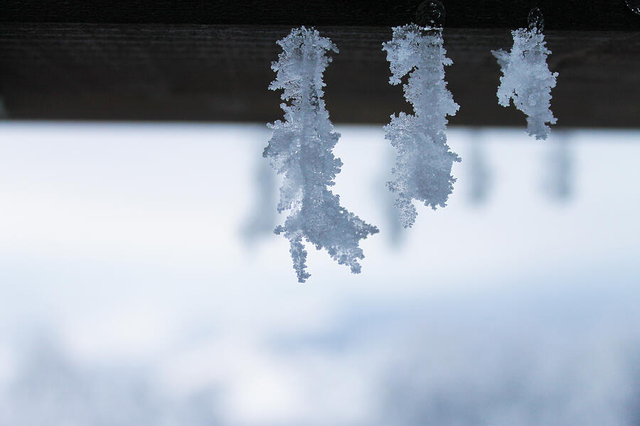 Snowflakes close-up Photograph by Vlad Baciu