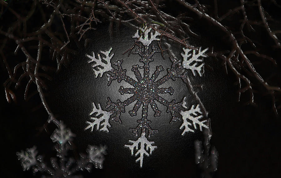 Snowflakes Photograph by Cynthia Guinn
