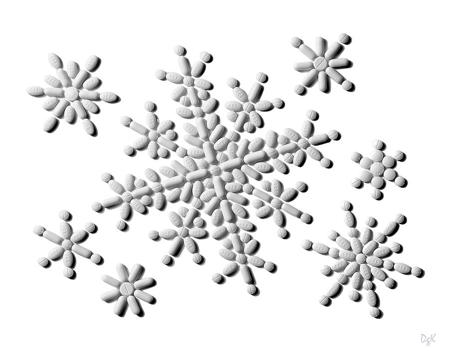 Snowflakes Photograph by Dolores Kaufman