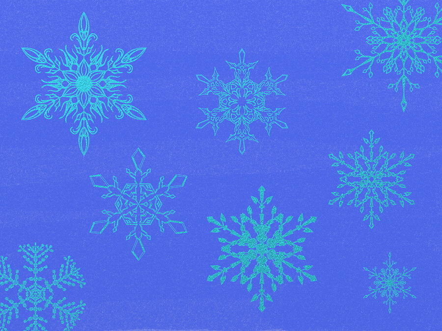 Snowflakes Digital Art by Eric Forster