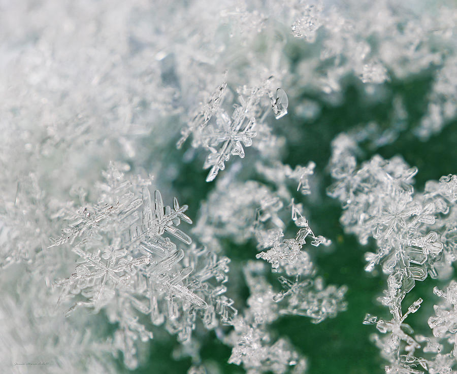 Winter Photograph - Snowflakes Green Two by Jennie Marie Schell