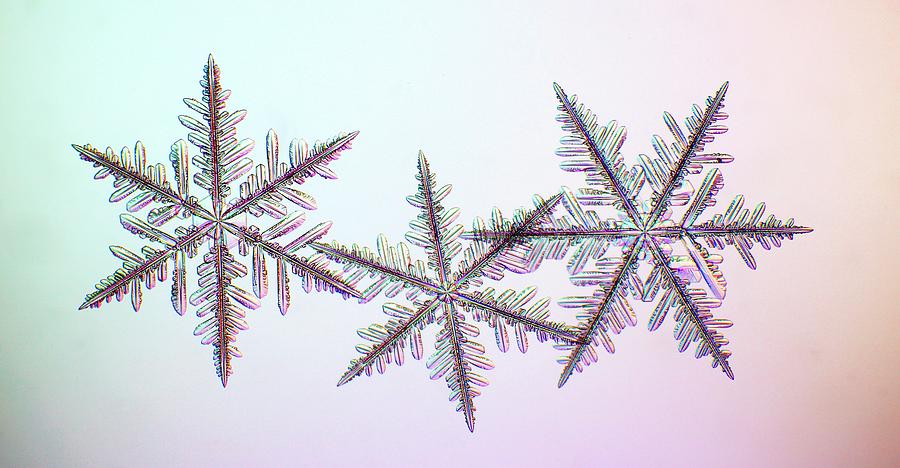 Snowflakes Photograph by Kenneth Libbrecht