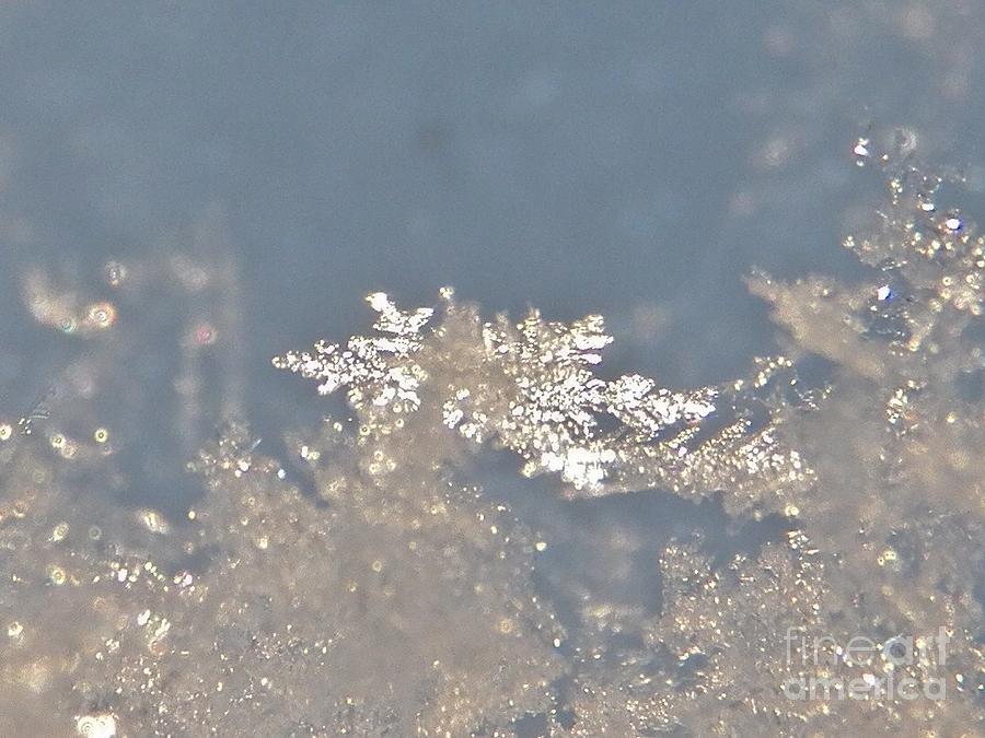 Snowflakes Super Macro  2 Photograph by Judy Via-Wolff