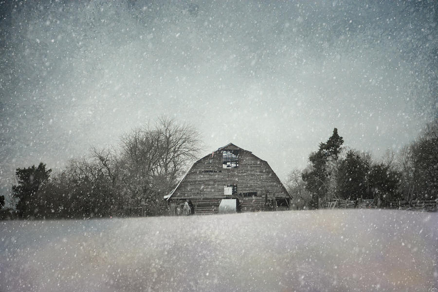 Snowing At The Old Barn Photograph by Jai Johnson