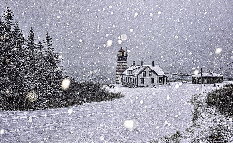 Snowing at West Quoddy Head Lighthouse Photograph by Marty Saccone