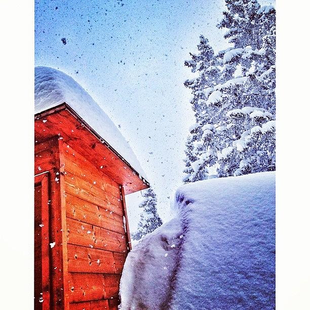 Winter Photograph - Snowing Hard Here😖
#fuck #winter by Amar Geddon