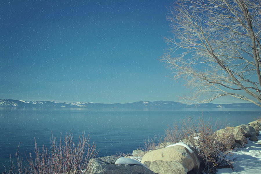Snowing in Tahoe Photograph by Kim Hojnacki