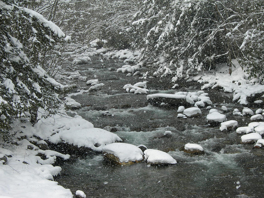 Snowing In The Smokies Photograph