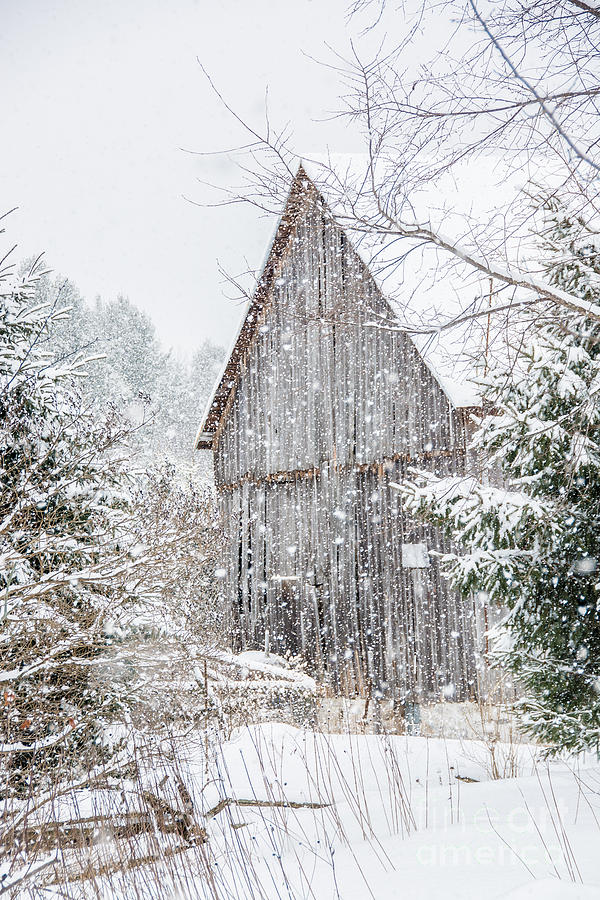 Snowing on the Farm Photograph by Cheryl Baxter