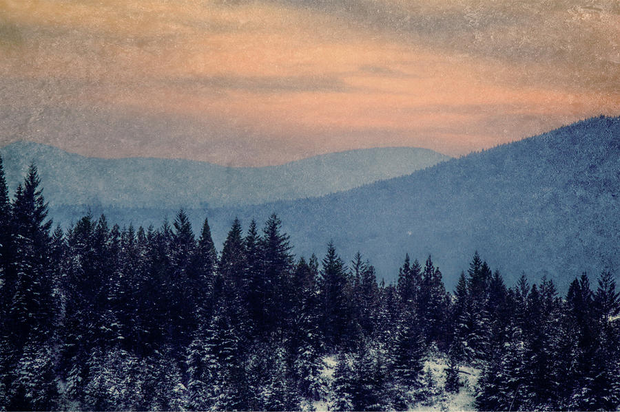 Snowing Sunset Photograph