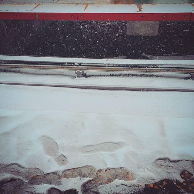 Snow@lirr Photograph by Sophie Miller