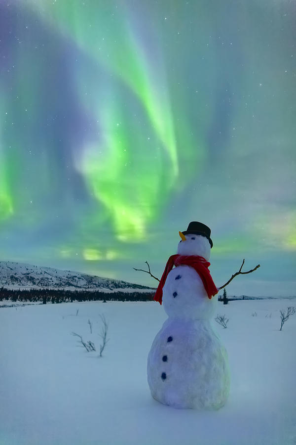Winter Photograph - Snowman and the Aurora by Kevin G Smith