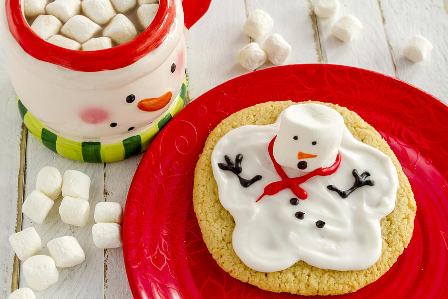 Snowman Cookie for Santa Photograph by Teri Virbickis