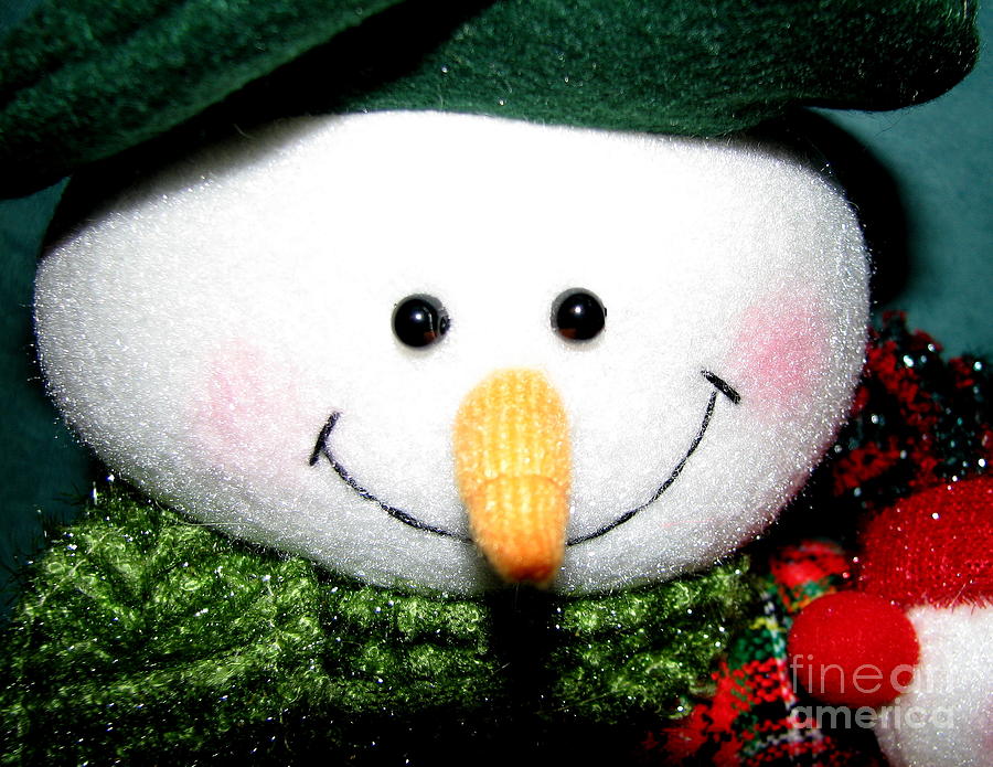 Snowman Decoration Closeup Photograph by Rose Santuci-Sofranko
