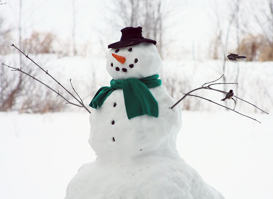 Snowman Feeder Photograph