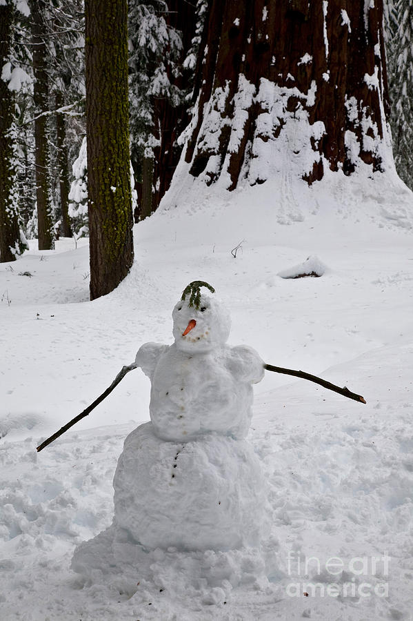 Snowman Photograph by Gregory G. Dimijian, M.D.