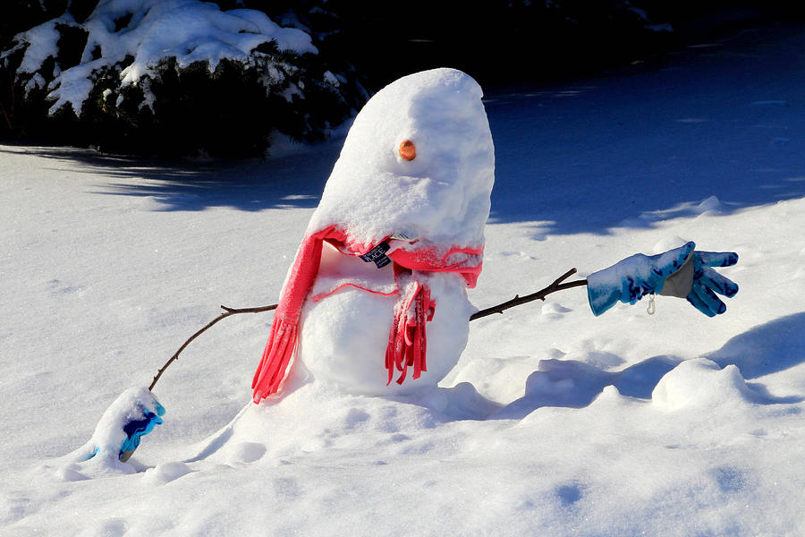 Snowman Photograph by Jim Vance