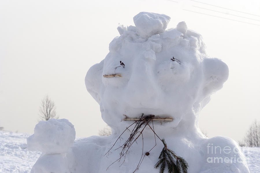 Snowman Photograph by Michal Boubin