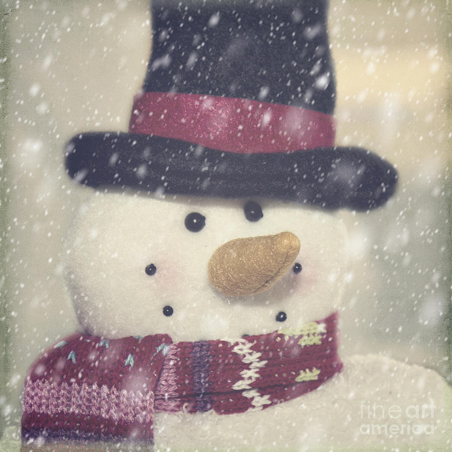 Snowman Photograph by Pam  Holdsworth