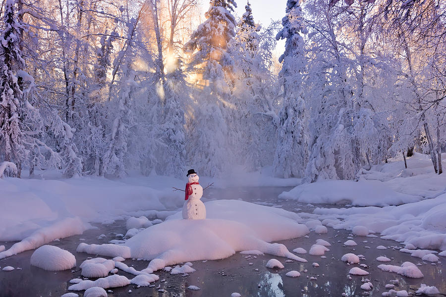 Anchorage Photograph - Snowman Standing On A Small Island by Kevin Smith